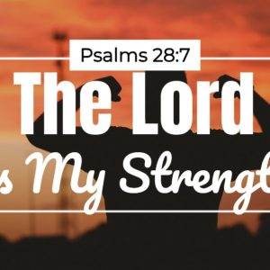 Silhouette of a person against a sunset background with the text "Psalms 28:7 The Lord Is My Strength"