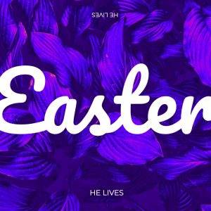 Vibrant Easter background with swirling purple feathers