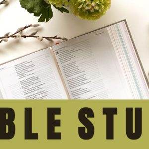 Open Bible with cozy blanket, apples, and flowers surrounding it, emphasizing the theme of Bible study and reflection.