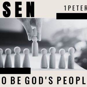 Hand selecting a wooden figure among others with the text "Chosen: To Be God's People" and 1 Peter 2:9