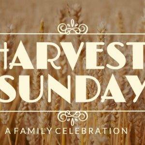 Golden wheat field with a "Harvest Sunday - A Family Celebration" text overlay.