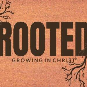 Inspiring graphic of the word Rooted centered with tree roots extending from the letters against an earthy, brown background.