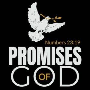 White dove with olive branch above the text "Promises of God" on a black background.