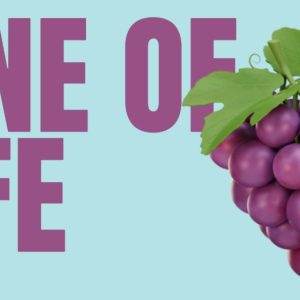 Cluster of vibrant purple grapes with text "Vine of Life" on a light blue background.