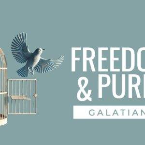 Open birdcage with a flying bird and motivational text about freedom and purpose from Galatians 5:1 on a blue background.