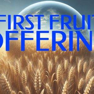 Golden field of wheat at sunrise with bold blue text reading "First Fruit Offering"