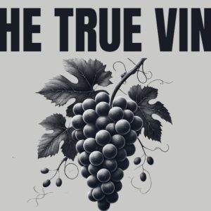 An artistic illustration of a grapevine with clusters of grapes and leaves beneath bold text reading 'The True Vine'.