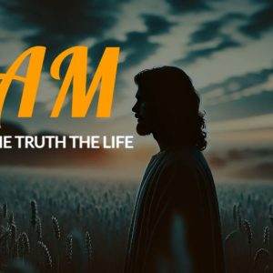 Silhouette of a figure in a lush field during sunset with the text "I AM the way the truth the life."