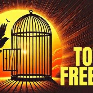 Illustration of a bird flying out of an open cage against a vibrant sunset with the words 'Total Freedom'.