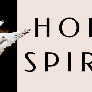 White dove in flight with wings spread beside the words "Holy Spirit" on a contrasting background.