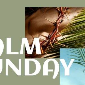 Palm Sunday graphic with crown of thorns and palm leaves on green background.