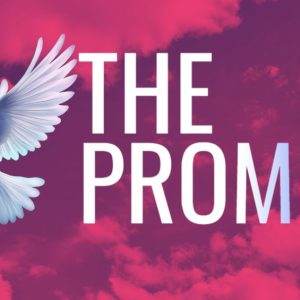 A majestic white dove flying against a pink clouded sky with the words "The Promise" in bold white letters.