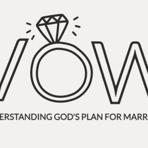 A simplified logo with a diamond ring encircling the letter O in VOW, with a tagline reading 'Understanding God's Plan for Marriage.'