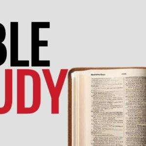 Open Bible on a white background with large text reading "Bible Study" in black and red.