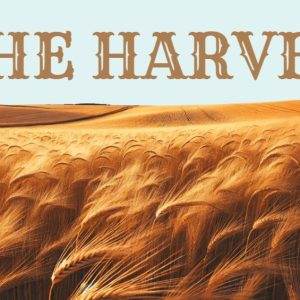 Golden wheat field at sunset with "The Harvest" text