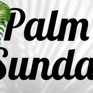 Palm Sunday celebration with green palm leaf and shadow against a white background