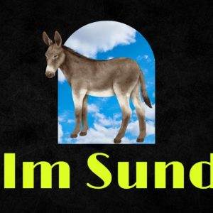 Donkey under an arch-shaped window with a blue sky and clouds background, Palm Sunday text in bright yellow below.