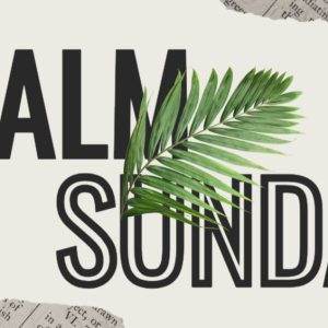 Palm Sunday graphic with a green palm leaf over bold black text.