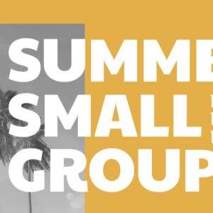 Vibrant summer small group poster with palm trees, emphasizing faith, friendship, and fun.