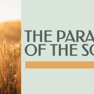 Hand touching wheat field at sunset with text: The Parable of the Sower.