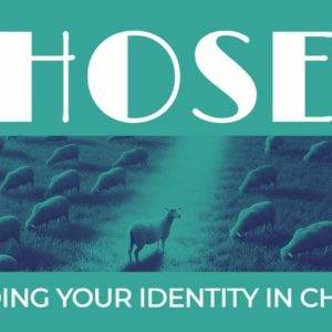 Religious graphic titled 'Chosen' featuring a flock of sheep with one looking ahead, symbolizing finding one's identity in Christ.