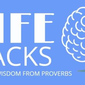 Life Hacks - Timely Wisdom from Proverbs, white text on blue background with brain illustration