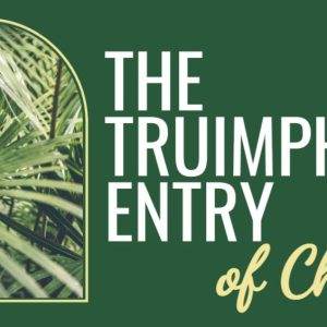 Palm leaves with the text 'The Triumphal Entry of Christ' on a green background