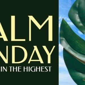 Palm Sunday celebration with tropical palm leaf and bright sky background