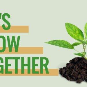 Plant sprout growing from soil with motivational message Let's Grow Together.