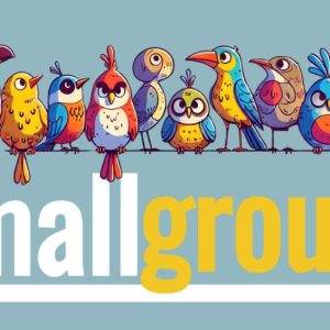 Colorful cartoon birds perched on a wire over 'small groups'.