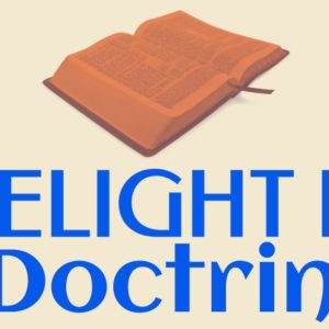 Open book above bold "Delight in Doctrine" text on light background.