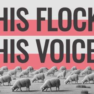 A flock of grazing sheep with bold text 'His Flock His Voice' in the background