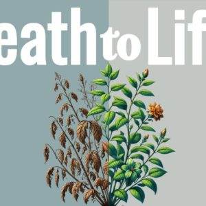 Transformation illustrated with a thriving plant beside a withering one under the text "Death to Life"