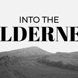 Majestic mountain landscape with text "Into the Wilderness" overlay