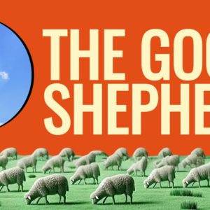 Illustration of a flock of sheep grazing under a blue sky with bold text "The Good Shepherd" against an orange background.