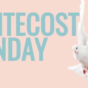 White dove flying beside Pentecost Sunday text on a pastel background.