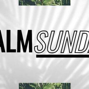 Bold "Palm Sunday" text with palm leaf shadows in the background.