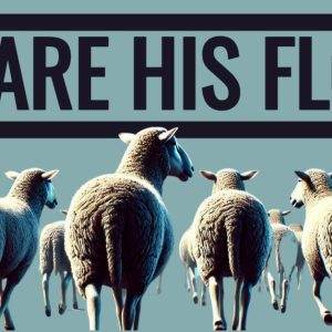 A group of sheep walking together under a bold headline that reads "We Are His Flock" against a serene blue background.