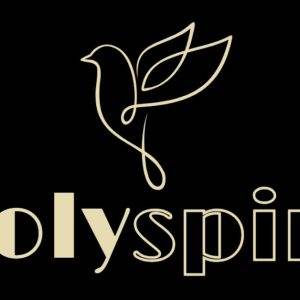 Elegant line art dove with the word "holy spirit" in stylized font on a black background.